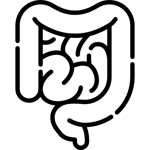 Icône d'un estomac