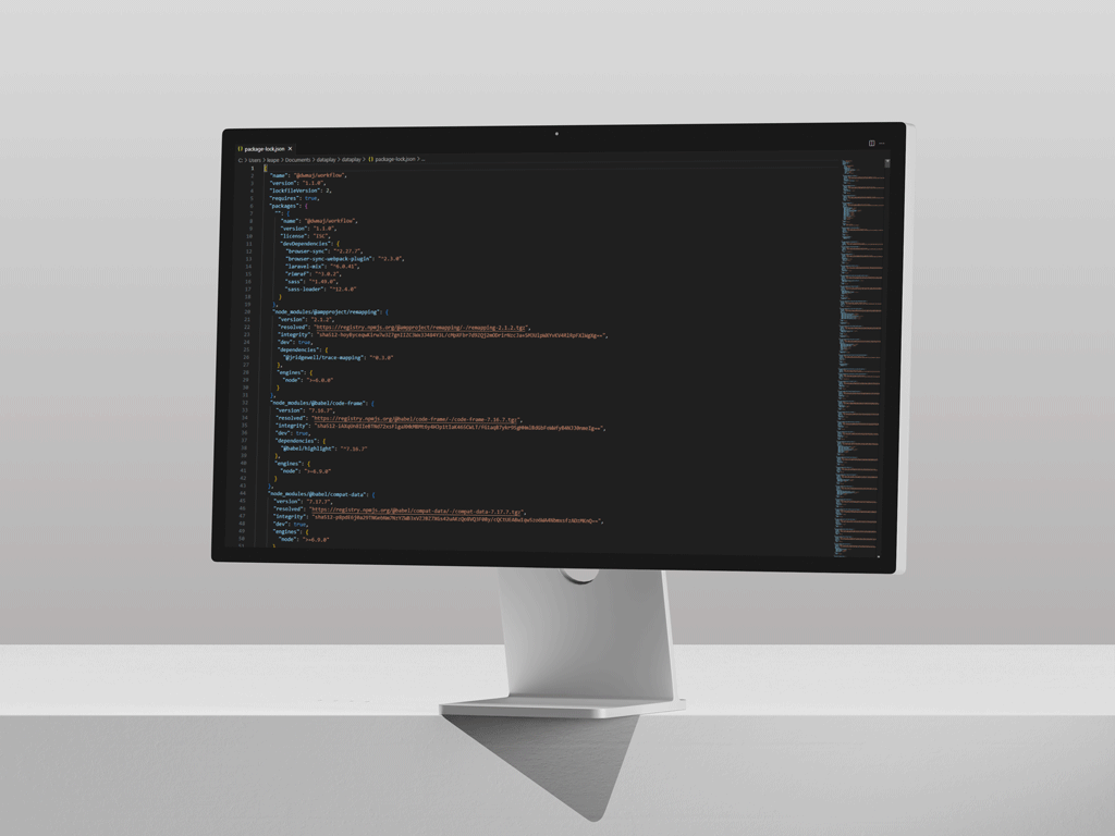 mockup d'un écran d'ordinateur contenant le jeu de données en json